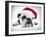 English Bulldog Lying in Studio Wearing a Christmas Hat-null-Framed Photographic Print