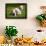 English Bulldog Puppies Playing-ots-photo-Framed Photographic Print displayed on a wall