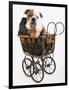 English Bulldog Puppy in a Baby Carriage-Peter M. Fisher-Framed Photographic Print