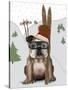 English Bulldog, Skiing-Fab Funky-Stretched Canvas