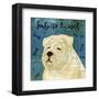 English Bulldog (square)-John W^ Golden-Framed Art Print