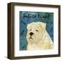 English Bulldog (square)-John W^ Golden-Framed Art Print