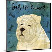 English Bulldog (square)-John W^ Golden-Mounted Art Print
