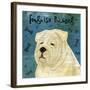 English Bulldog (square)-John W^ Golden-Framed Art Print