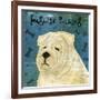 English Bulldog (square)-John W^ Golden-Framed Art Print