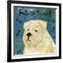 English Bulldog (square)-John W^ Golden-Framed Art Print