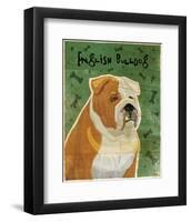 English Bulldog (tan and white)-John W^ Golden-Framed Art Print