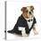 English Bulldog Wearing Black Tuxedo And Tails On White Background-Willee Cole-Stretched Canvas