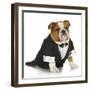 English Bulldog Wearing Black Tuxedo And Tails On White Background-Willee Cole-Framed Photographic Print