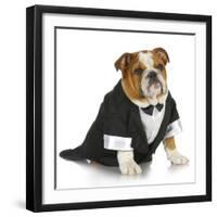 English Bulldog Wearing Black Tuxedo And Tails On White Background-Willee Cole-Framed Photographic Print