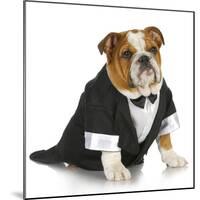 English Bulldog Wearing Black Tuxedo And Tails On White Background-Willee Cole-Mounted Photographic Print