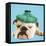 English Bulldog with Ice Pack-null-Framed Stretched Canvas
