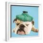 English Bulldog with Ice Pack-null-Framed Photographic Print