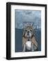 English Bulldog with Stonehenge-Barruf-Framed Art Print