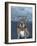 English Bulldog with Stonehenge-Barruf-Framed Art Print