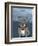 English Bulldog with Stonehenge-Barruf-Framed Art Print