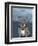 English Bulldog with Stonehenge-Barruf-Framed Art Print