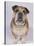 English Bulldog-null-Stretched Canvas