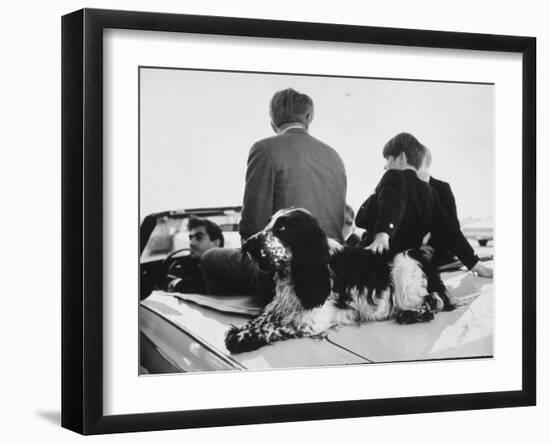 English Cocker Freckles on Campaign Trail in Indiana with Robert F. Kennedy and Son, Michael-Bill Eppridge-Framed Photographic Print