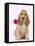English Cocker Spaniel Puppy Holding Flower-null-Framed Stretched Canvas