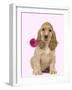 English Cocker Spaniel Puppy Holding Flower-null-Framed Photographic Print