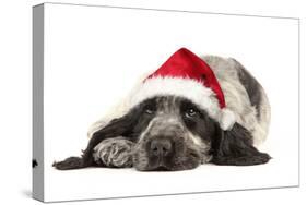 English Cocker Spaniel Puppy in Christmas Hat-null-Stretched Canvas