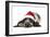 English Cocker Spaniel Puppy in Christmas Hat-null-Framed Photographic Print