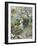 English Cottage Garden-William Stephen Coleman-Framed Giclee Print