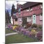 English Country Cottages-null-Mounted Photographic Print