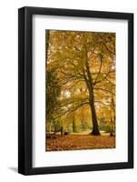 English Countryside Landscape-Veneratio-Framed Photographic Print