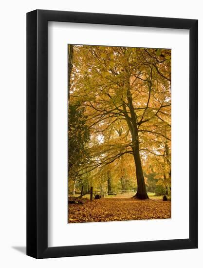 English Countryside Landscape-Veneratio-Framed Photographic Print