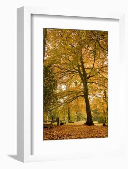 English Countryside Landscape-Veneratio-Framed Photographic Print