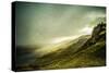 English Countryside-Mark Gemmell-Stretched Canvas