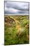 English Countryside-Mark Sunderland-Mounted Photographic Print