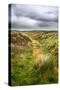 English Countryside-Mark Sunderland-Stretched Canvas