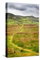 English Countryside-Mark Sunderland-Stretched Canvas