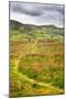 English Countryside-Mark Sunderland-Mounted Photographic Print