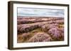 English Countryside-Mark Sunderland-Framed Photographic Print