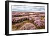 English Countryside-Mark Sunderland-Framed Photographic Print