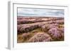 English Countryside-Mark Sunderland-Framed Photographic Print