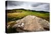 English Countryside-Mark Sunderland-Stretched Canvas