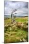 English Countryside-Mark Sunderland-Mounted Photographic Print