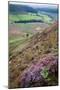 English Countryside-Mark Sunderland-Mounted Photographic Print