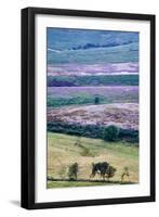 English Countryside-Mark Sunderland-Framed Photographic Print