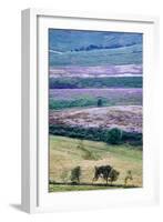 English Countryside-Mark Sunderland-Framed Photographic Print