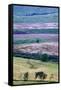 English Countryside-Mark Sunderland-Framed Stretched Canvas