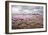 English Countryside-Mark Sunderland-Framed Photographic Print