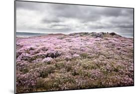 English Countryside-Mark Sunderland-Mounted Photographic Print