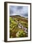 English Countryside-Mark Sunderland-Framed Photographic Print