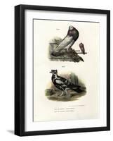English Cropper, 1864-null-Framed Giclee Print